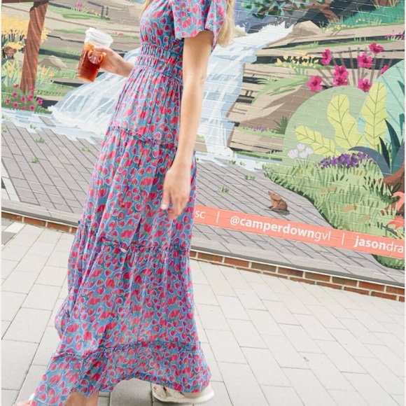 NWT Briton Court SIZE medium Willow Maxi Dress | Strawberries - Picture 3 of 7